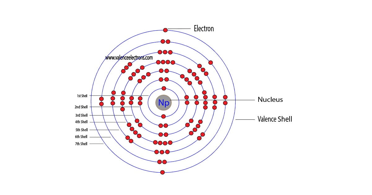 Neptunium atom